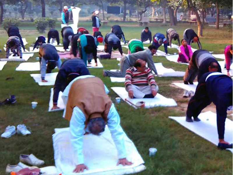 Yoga Therapy Camp Kavi Nagar