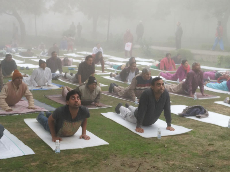 Yoga Therapy Camp Raj Nagar